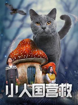国产成人精品午夜在线播放