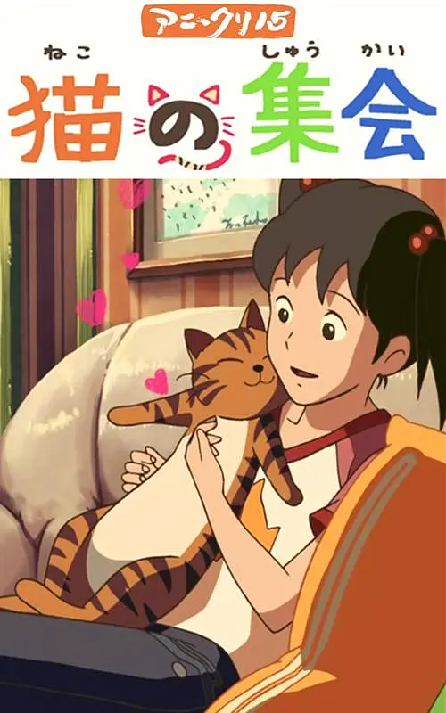 被允许的女人