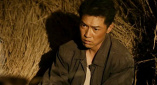 泽村玲子在线