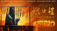 大香萑成人网免费视频
