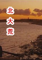 日韩高清在线观看