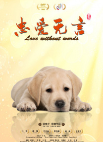 一个人看的www视频哔哩哔哩