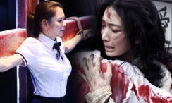 精品视频一区二区三区在线观看