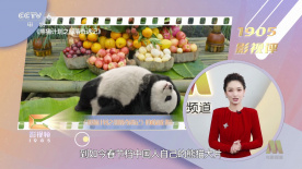 毛片小视频